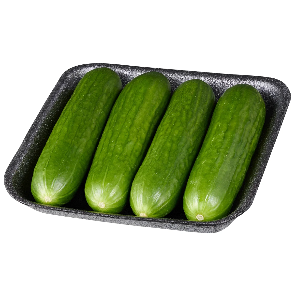 BEST QUALITY CUCUMBER FROM VIETNAM FOR WHOLESALE