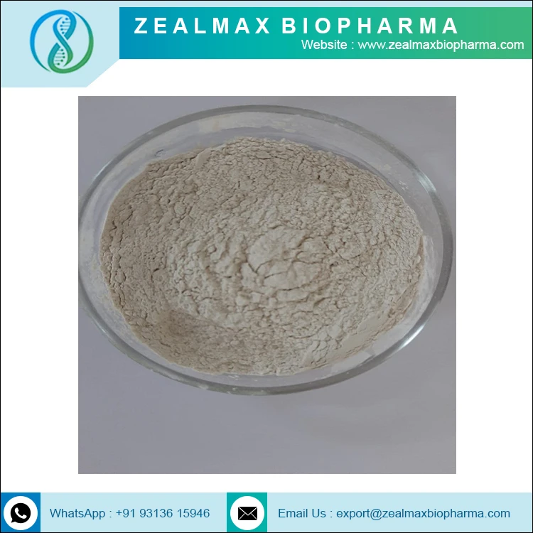 Factory Sale Bifidobacterium Longum Pure Natural Probiotics Bifidobacterium Longum Probiotics - Zealmax Biopharma