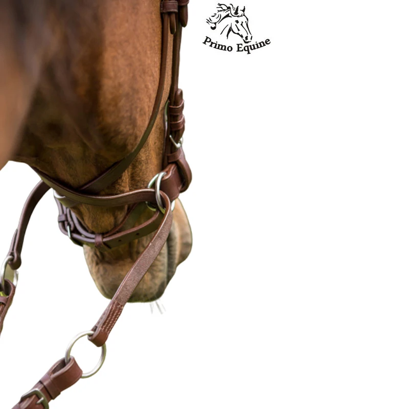 Adjustable Leather bridle Multiple Sizes Available Horse Halter +Bridle For Horse Racing