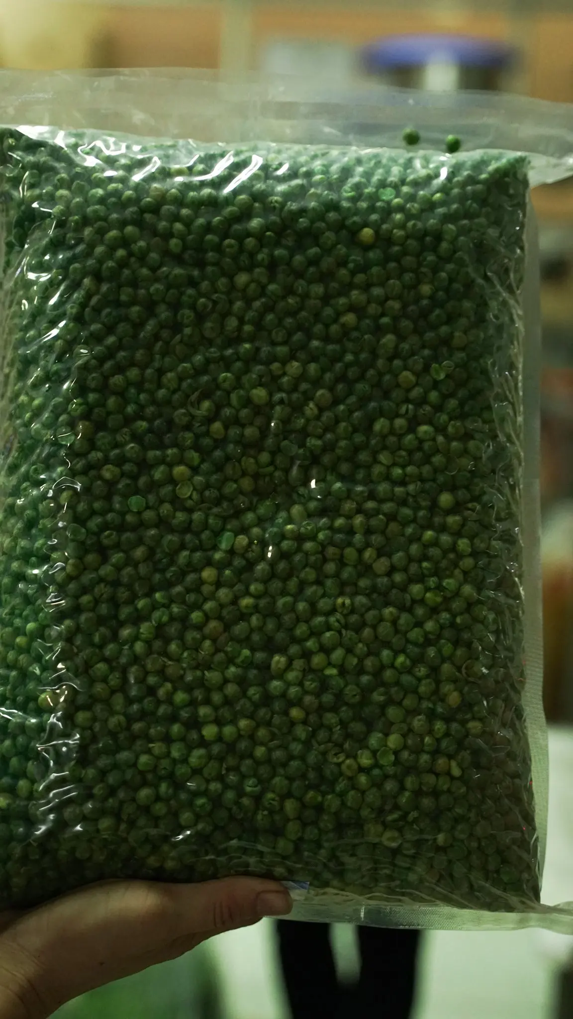 Salted Green Peas 100% Natural No Adding preservative Premium Quality At Factory Price and Prompt Shipment