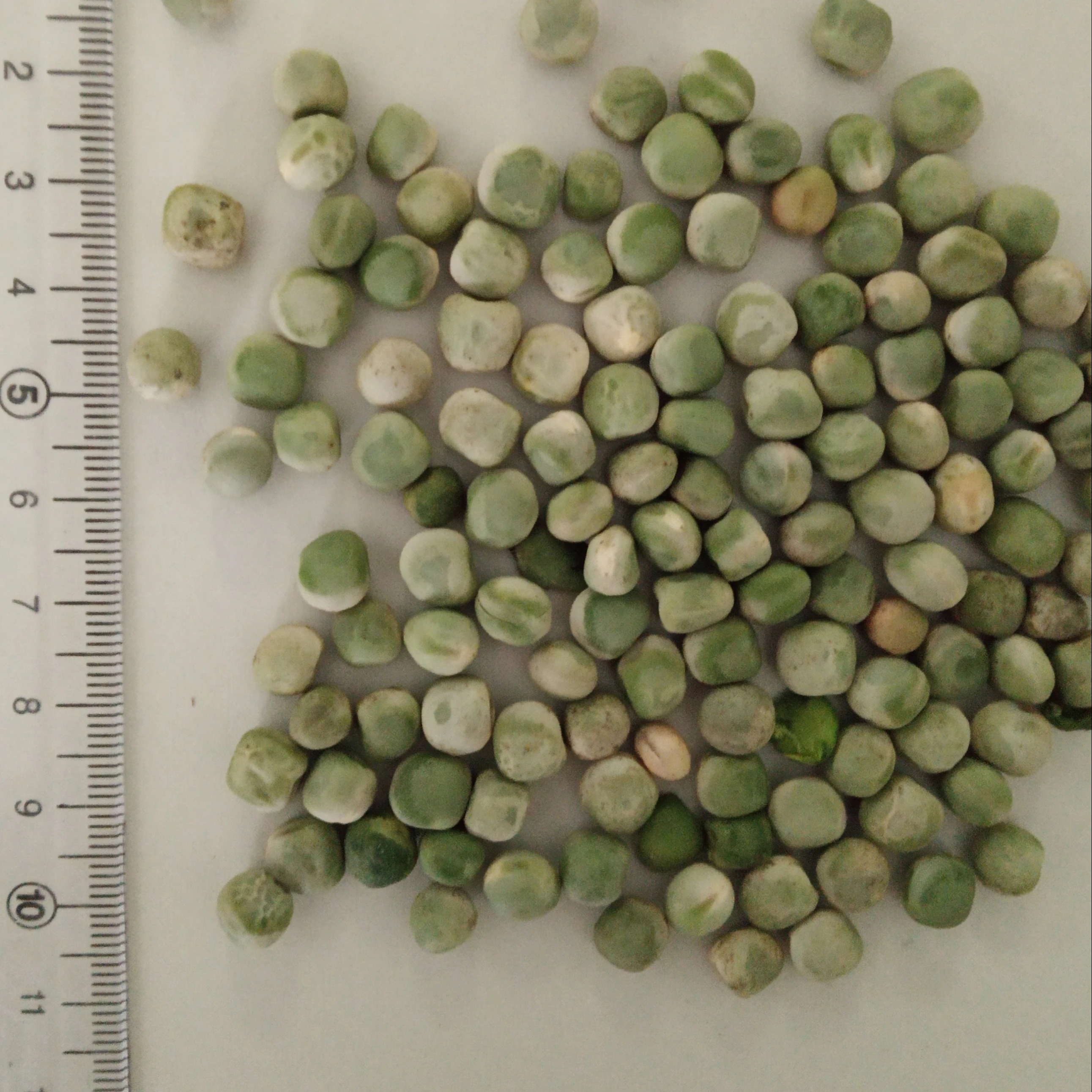 Сушеный зеленый горох из Аргентины