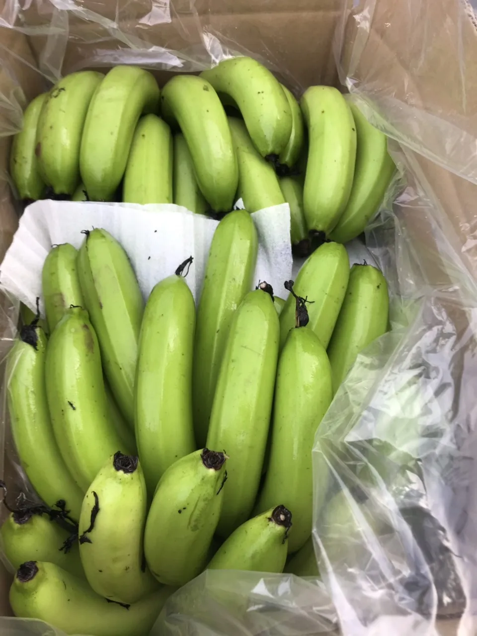  Свежий банан во Вьетнаме высокое качество MS ANNA + 84902804571