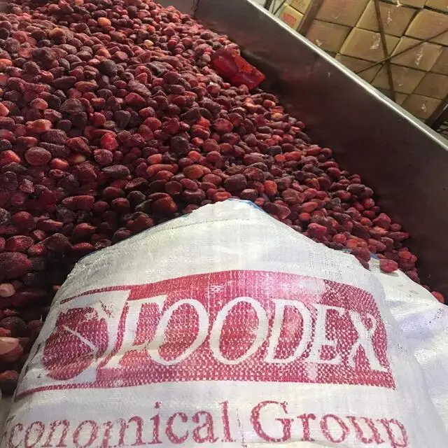 All type of frozen Egyptian Strawberry