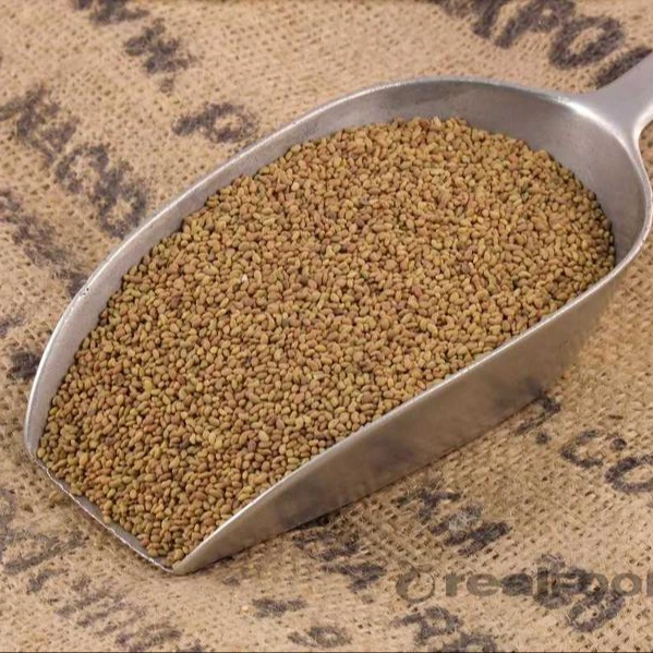 
Organic Alfalfa Sprouting Seeds/Alfalfa Seed,Mustard Seeds 