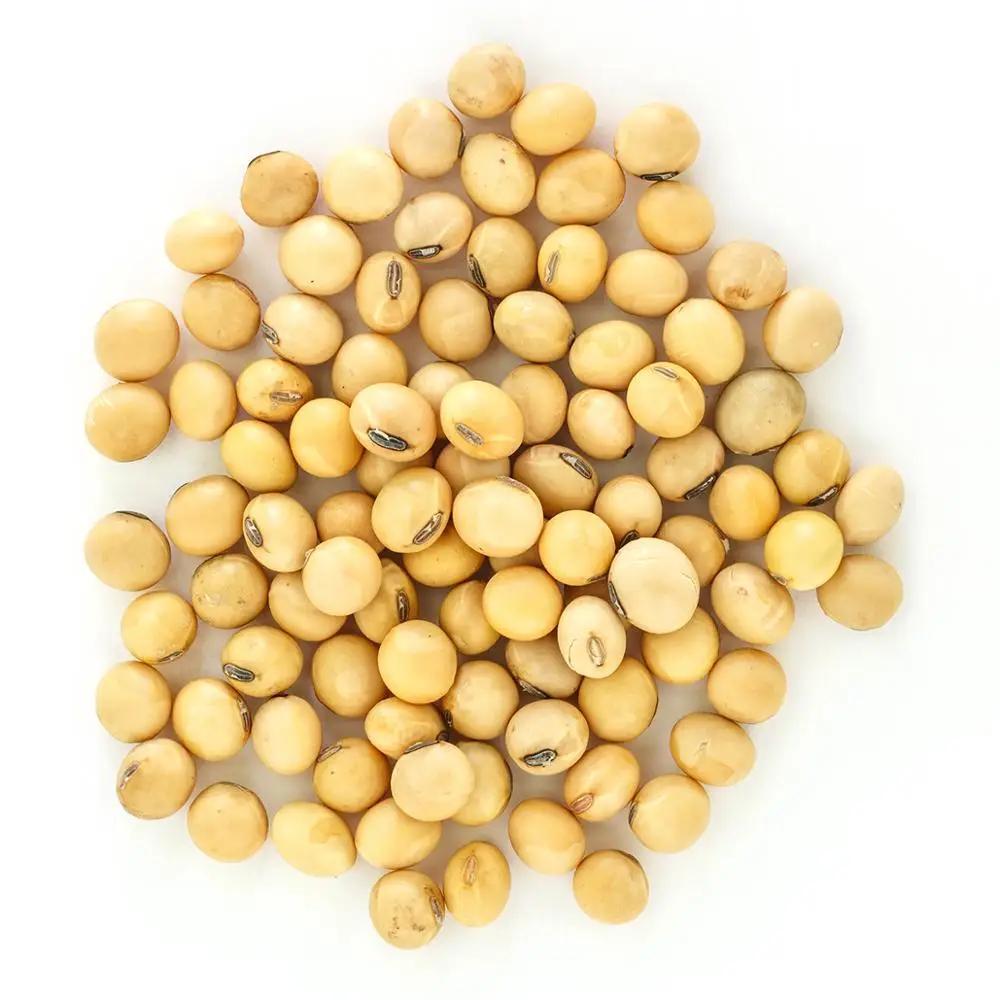 
Non GMO Soybean Brazil 