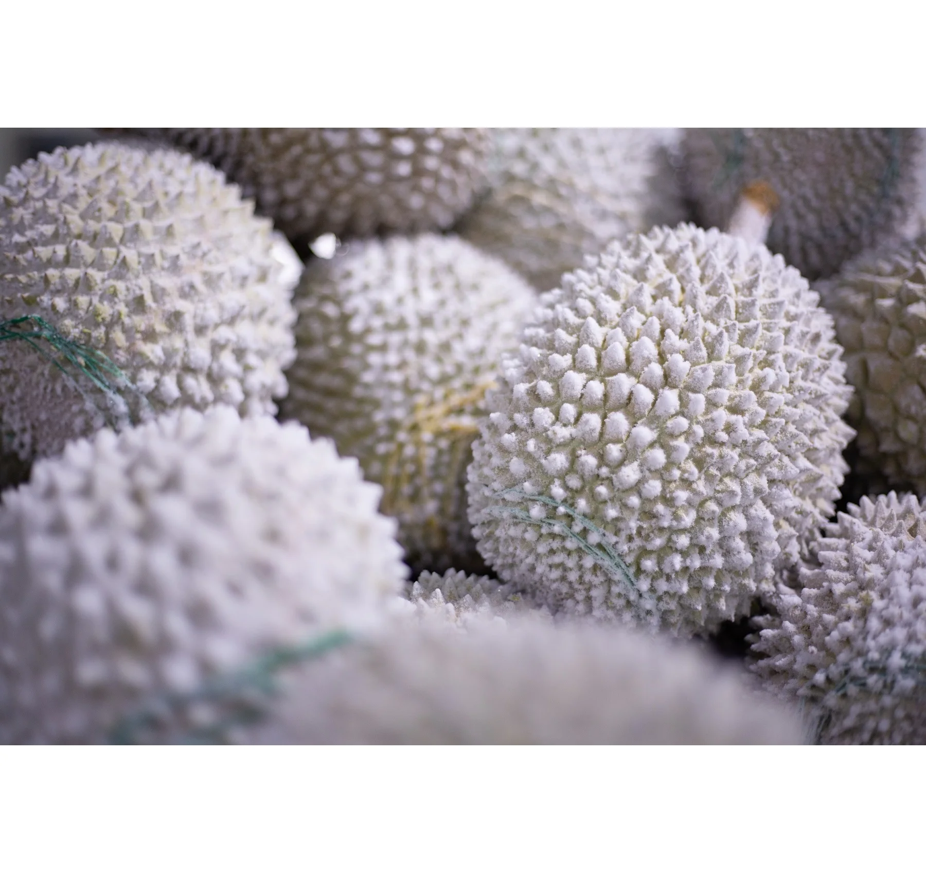 
Supplier Premium Quality Frozen Durian Fruit D24 XO AA with Shell from Malaysia HALAL Certified 