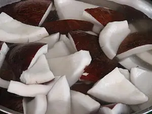 Вьетнам замороженное тертое кокосовое мясо замороженный кокосовый орех по лучшей цене