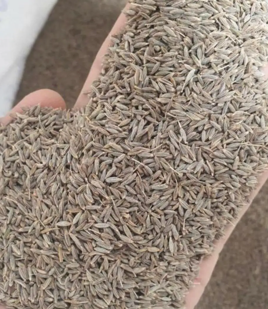 100%pure quality cumin seeds whole singapore quality and europe quality 99.99% india origin