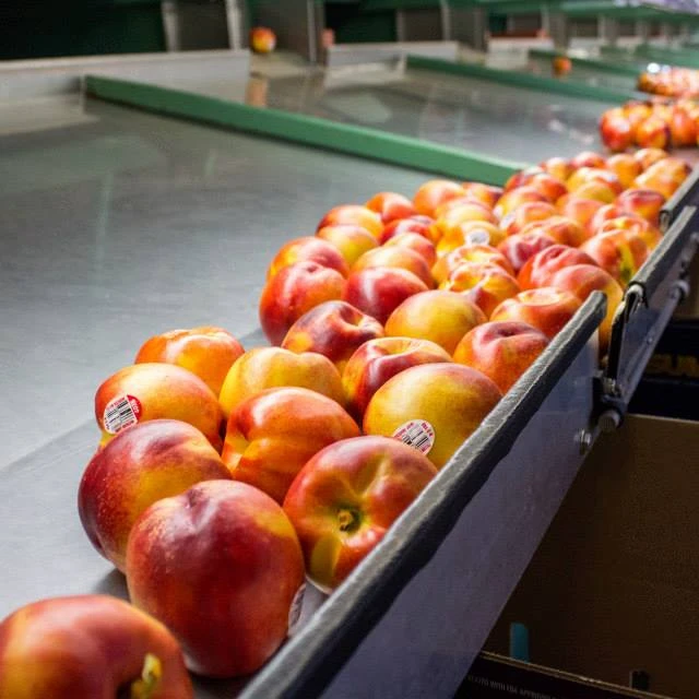 
Натуральный Свежий качественный персик 