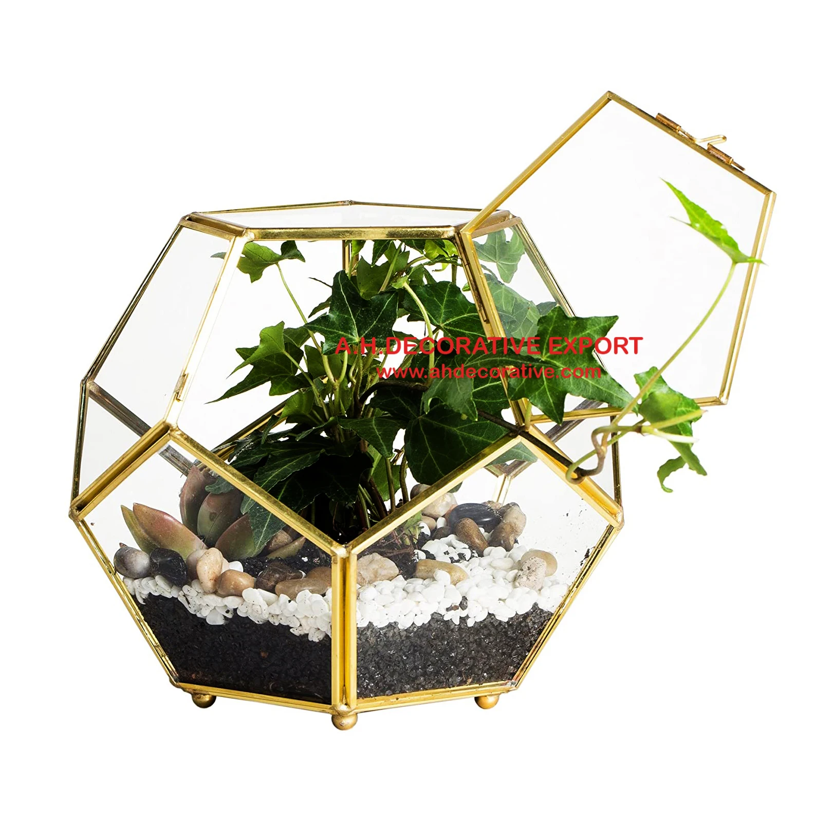 Gold Plated Frame Glass Terrarium Planter Vase Factory Direct Sales Home Decorative Flower Pots Planters