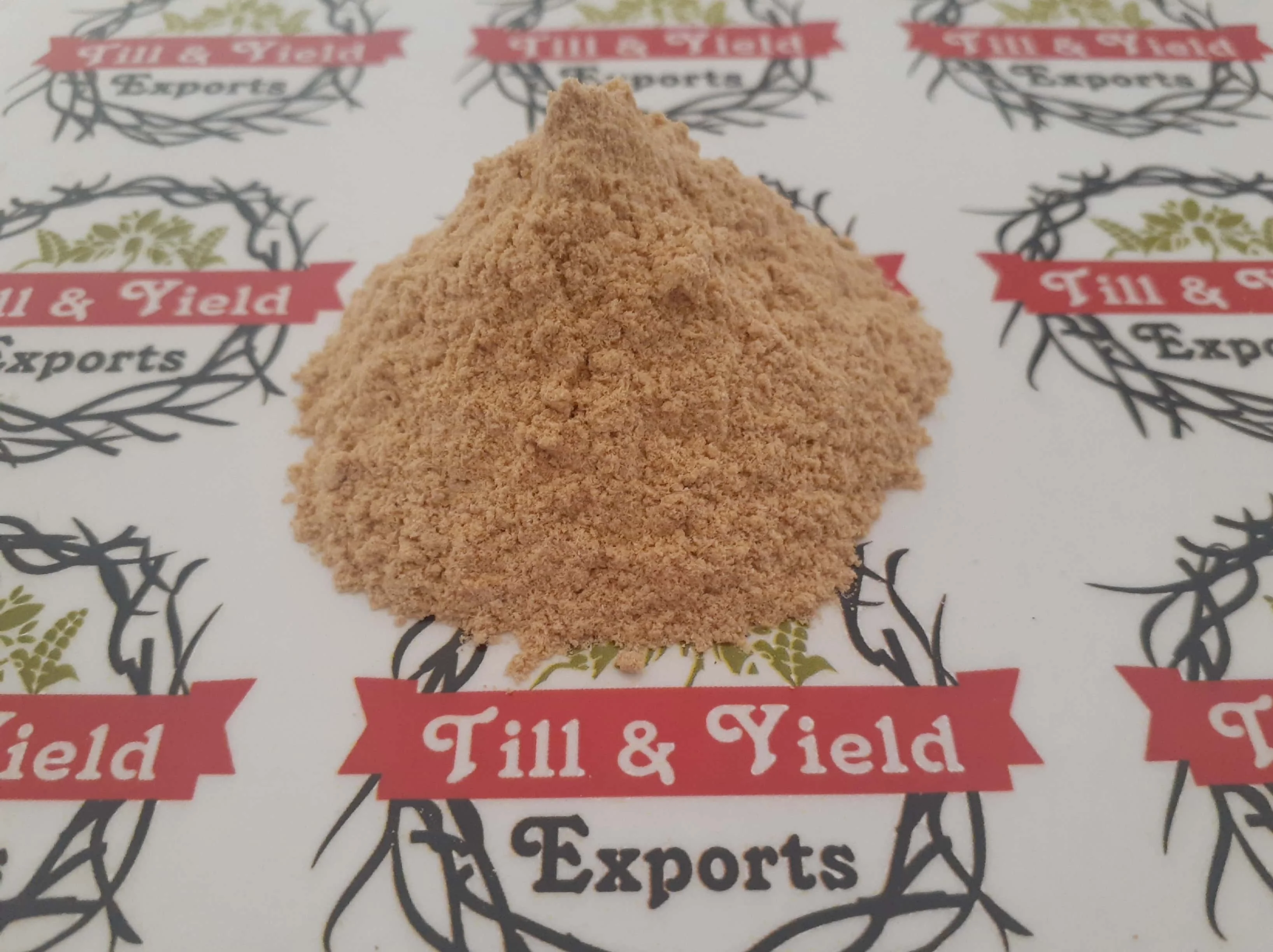 Premium Quality Garlic Powder Indian Kadha For Improve Immunity Compounds With Potent Medicinal Properties