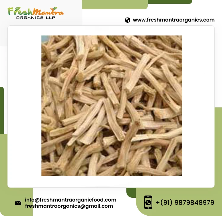 100% Natural Shatavari Powder Extract Shatavari Root Powder For Stronger Immune System Supplier