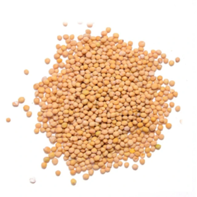 Organic pure mustard seeds pre-packed big bags, from manufacturer