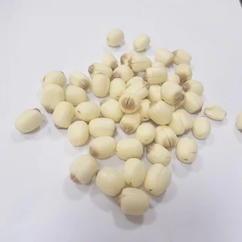 Dried Lotus seed Vietnam Lotus Seed 100% Natural Dried Lotus Seeds   From Viet Nam