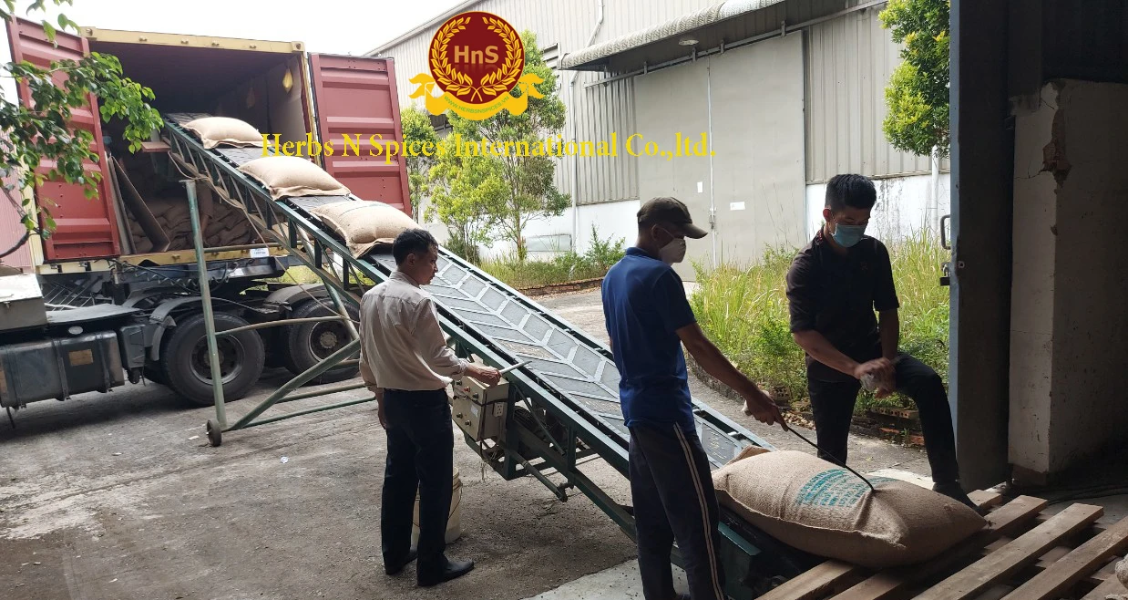 Washed Arabica green coffee beans S16/18