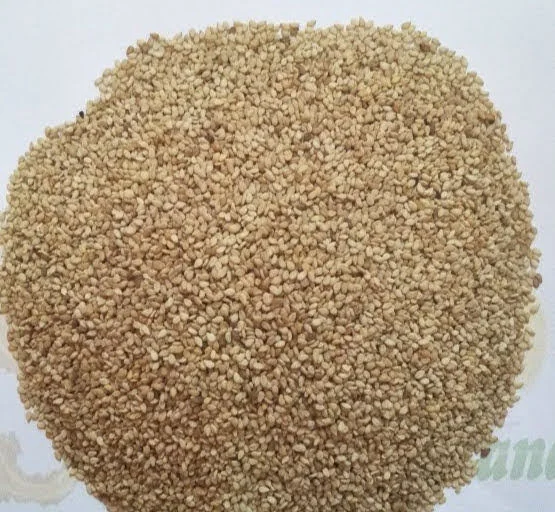 
Golden Sesame Seeds Egypt 2020 