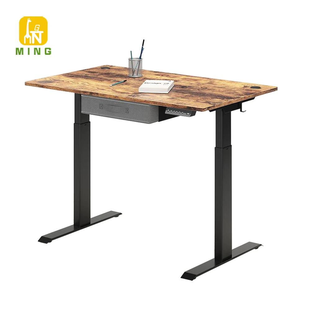 China Manufacturer Dual Motor Ergonomic Electric Stand up Desk Standing Table Desk Stand for Table PC