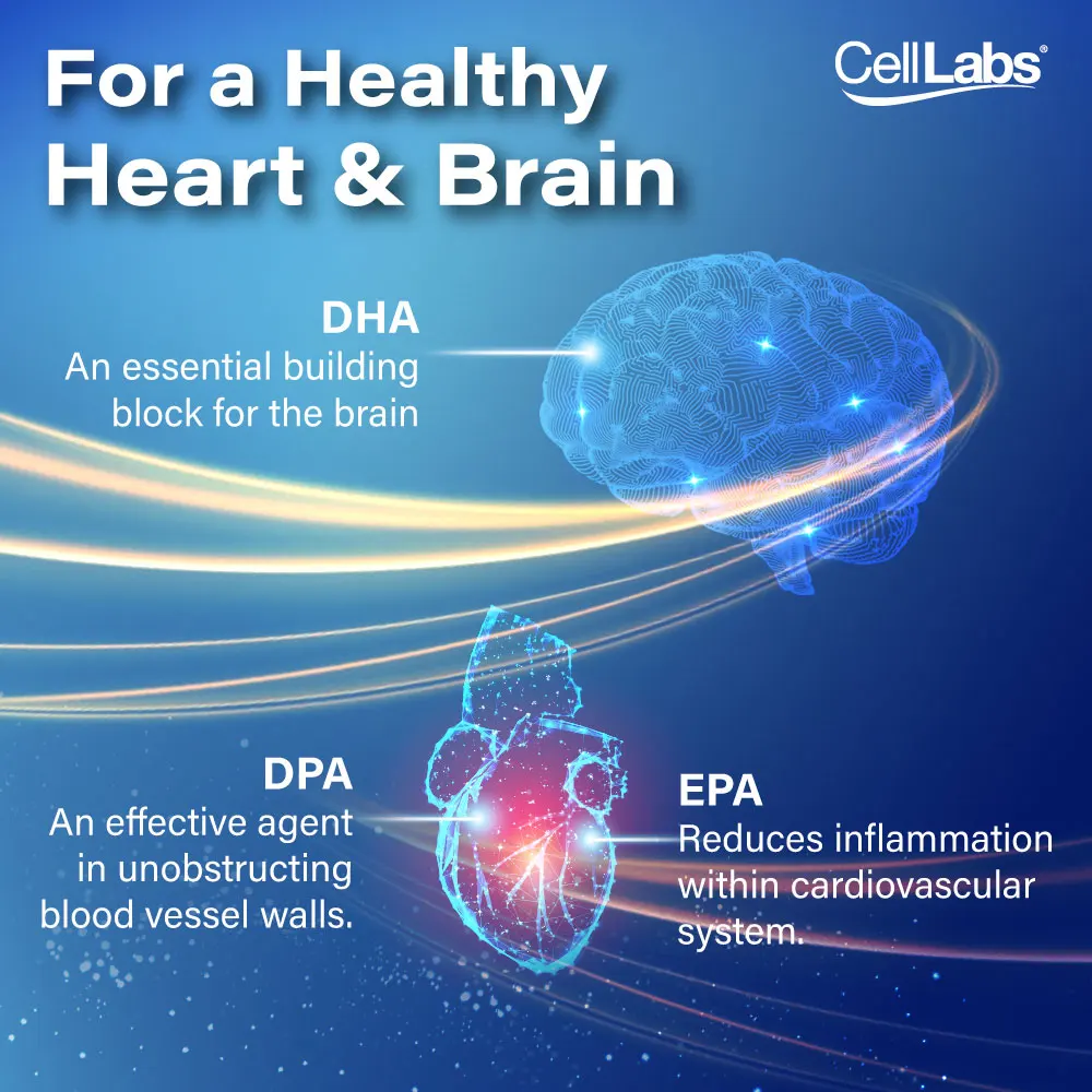 Wholesale Price New Zealand Seal Oil Health Supplement 90 Capsules for Men Health Energy Stamina Booster