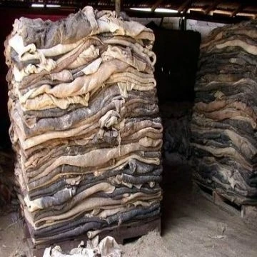 
Wet And Dry Salted Cow Hides available 