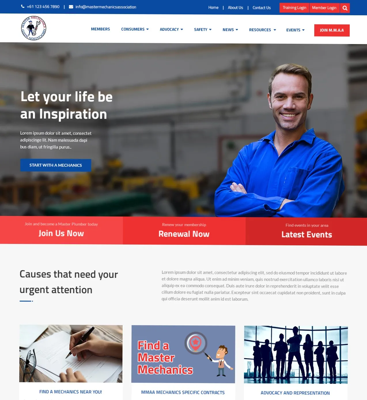 Wordpress Theme Website Design and Development with Plugin Wordpress web developer and designer online payment