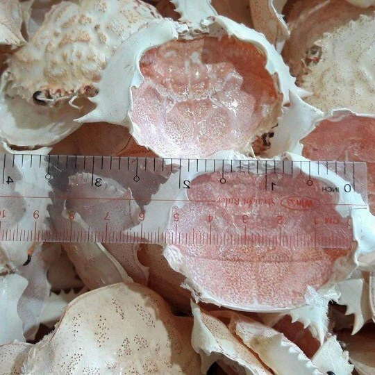 
Dried Crab Shell With The Most Comparative Price In Vietnam 