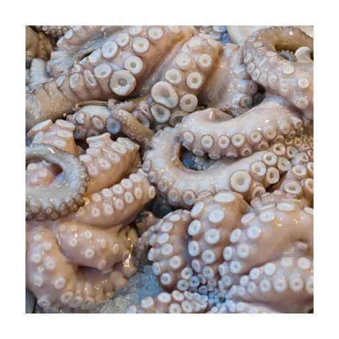 2022 Frozen Octopus / Frozen Seafood Octopus