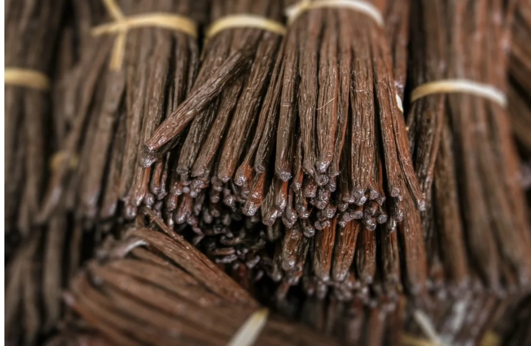 Оптовый Поставщик ванильных бобов лучшего качества по низкой цене