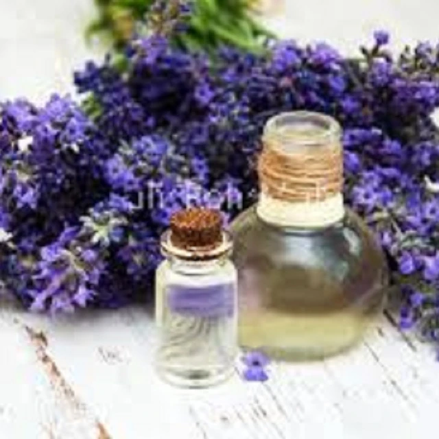 Lavender Oil Natural Factory Wholesale Bulk