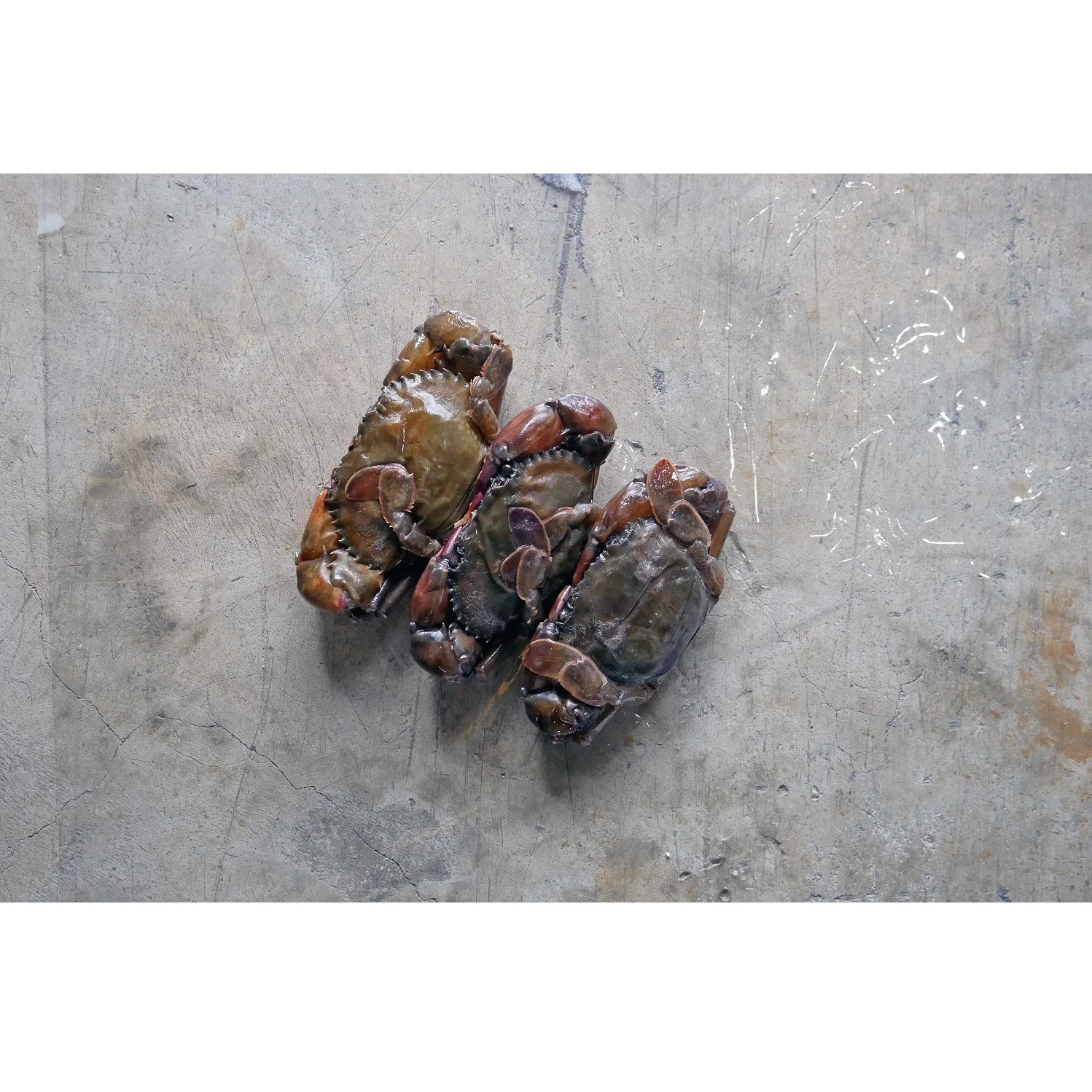 Top Quality Best Fresh Seafood Delicious (200-UP gm/pcs) IVP 5 kg/ctn Whole Clean Frozen Soft Shell Crab