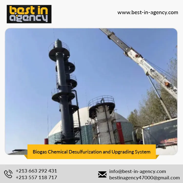 Carbon Removal 97% CH4 Content Biogas Chemical Desulfurization and Upgrading System Natural Gas