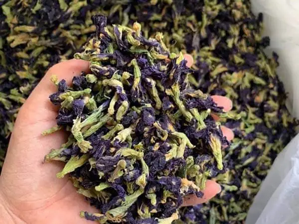 
OEM Tea Bag Packing Blue Butterfly Pea Flower Top Quality - W/A +84 90 335 49 81 