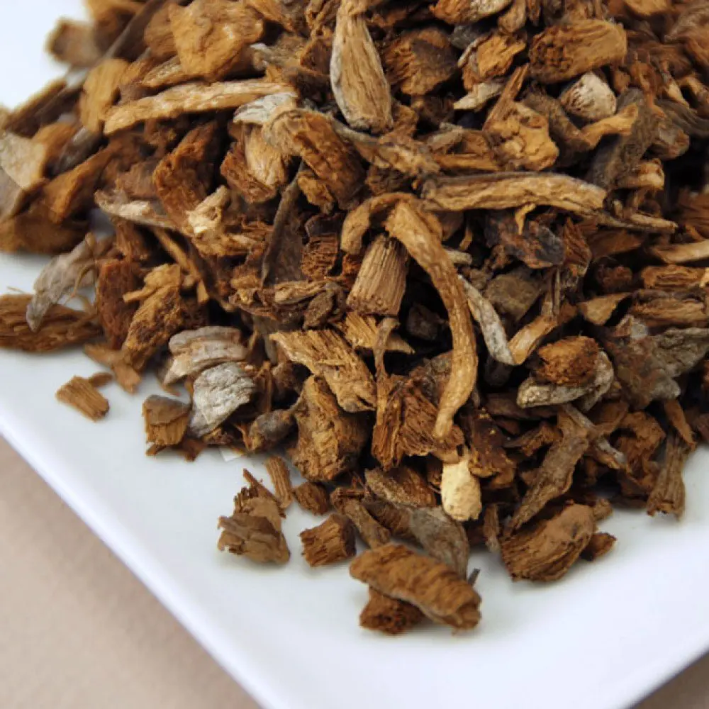 Boletus leteus mushroom I top quality dried mushroom