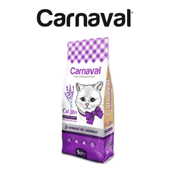 Canned Premium Pet Food with Chicken Flavor Gravy for Pet Kitten 8.7% Protein - 400 Gr (12 PCS)