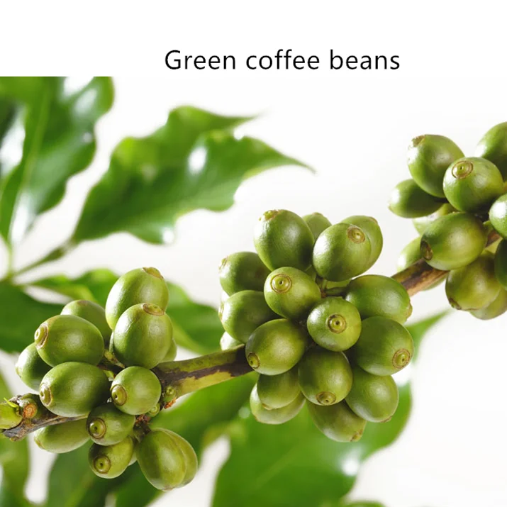 Food grade compound coffee enzymes for bean processing