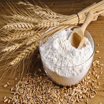 White Flour for all purpose wheat flour in 25kg 50kg bags for sale