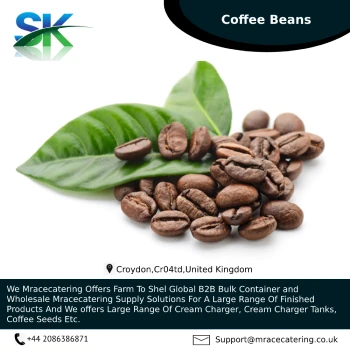 Best Manufacturing of white Coffee Beans
