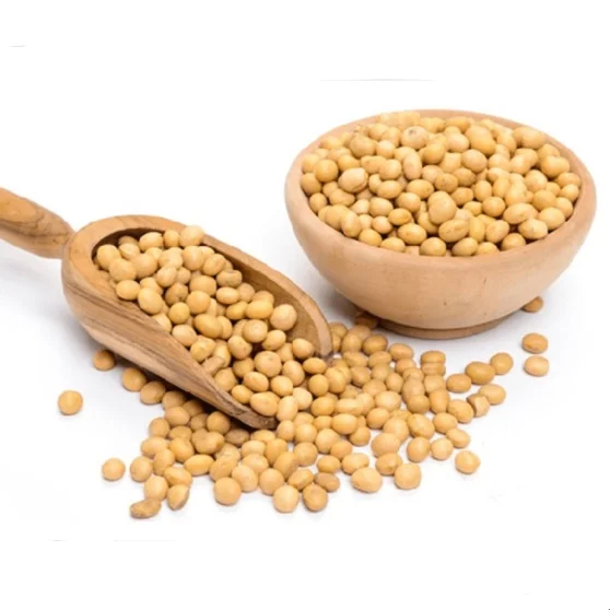 2022 crop High protein yellow soybean soya beans / soy bean for sale