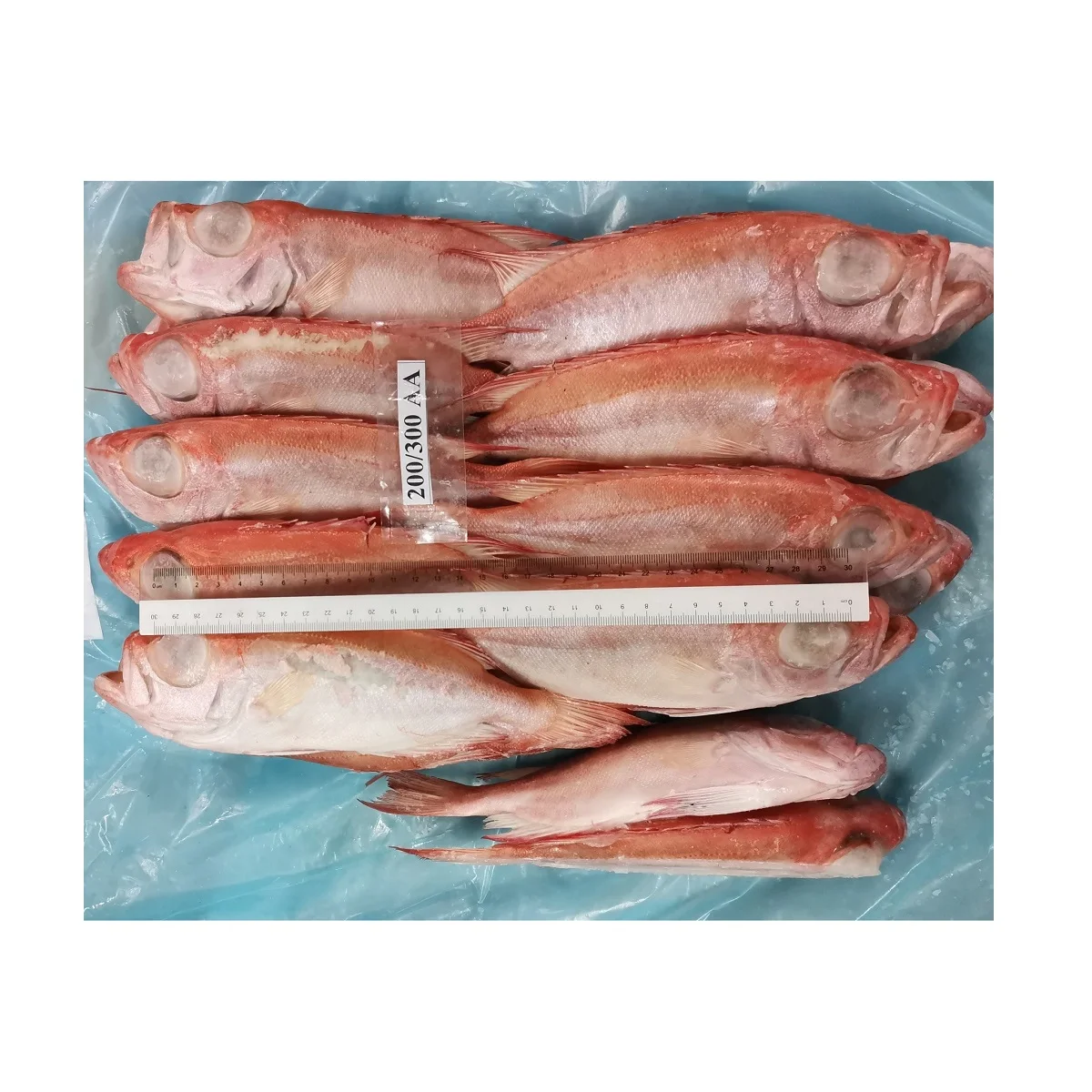 Натуральный красный цвет, замороженные круглые рыбы с большими глазами с максимальной влажностью 0.05% из малайзии