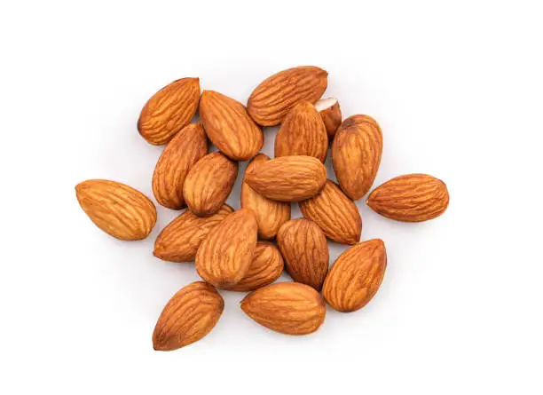 Almond 6.jpg