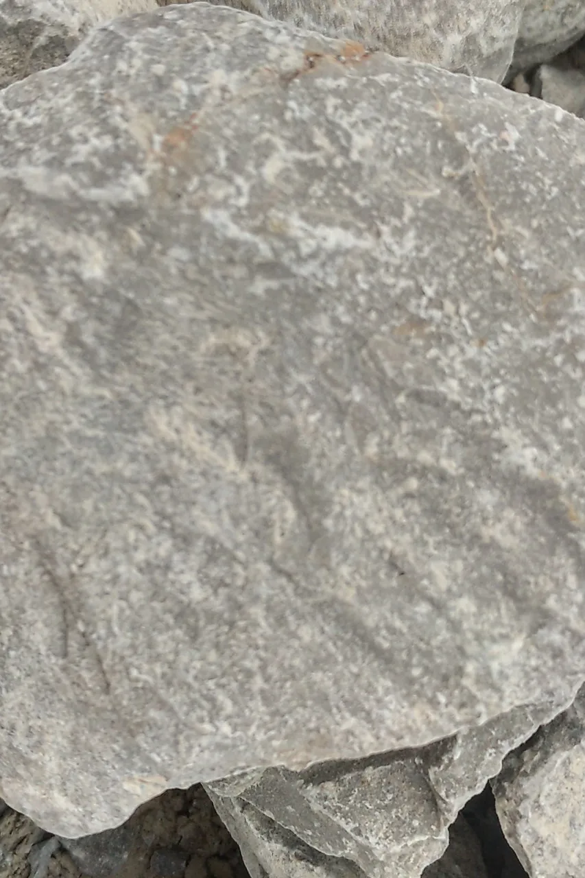 Wholesale Vietnam Dark Grey Limestone High Quality and Good Price