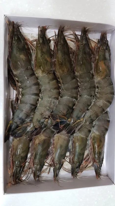 Замороженные Черные Тигровые Креветки класса А натуральные морские рыбалки целая часть стандарт экспорта (мисс Деми: WhatsApp + 84 961 733 400)