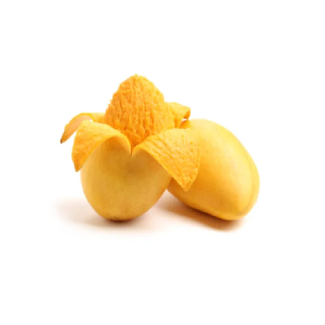 
100% Organic Fresh Hot Selling Pakistan Mangoes In Bulk 