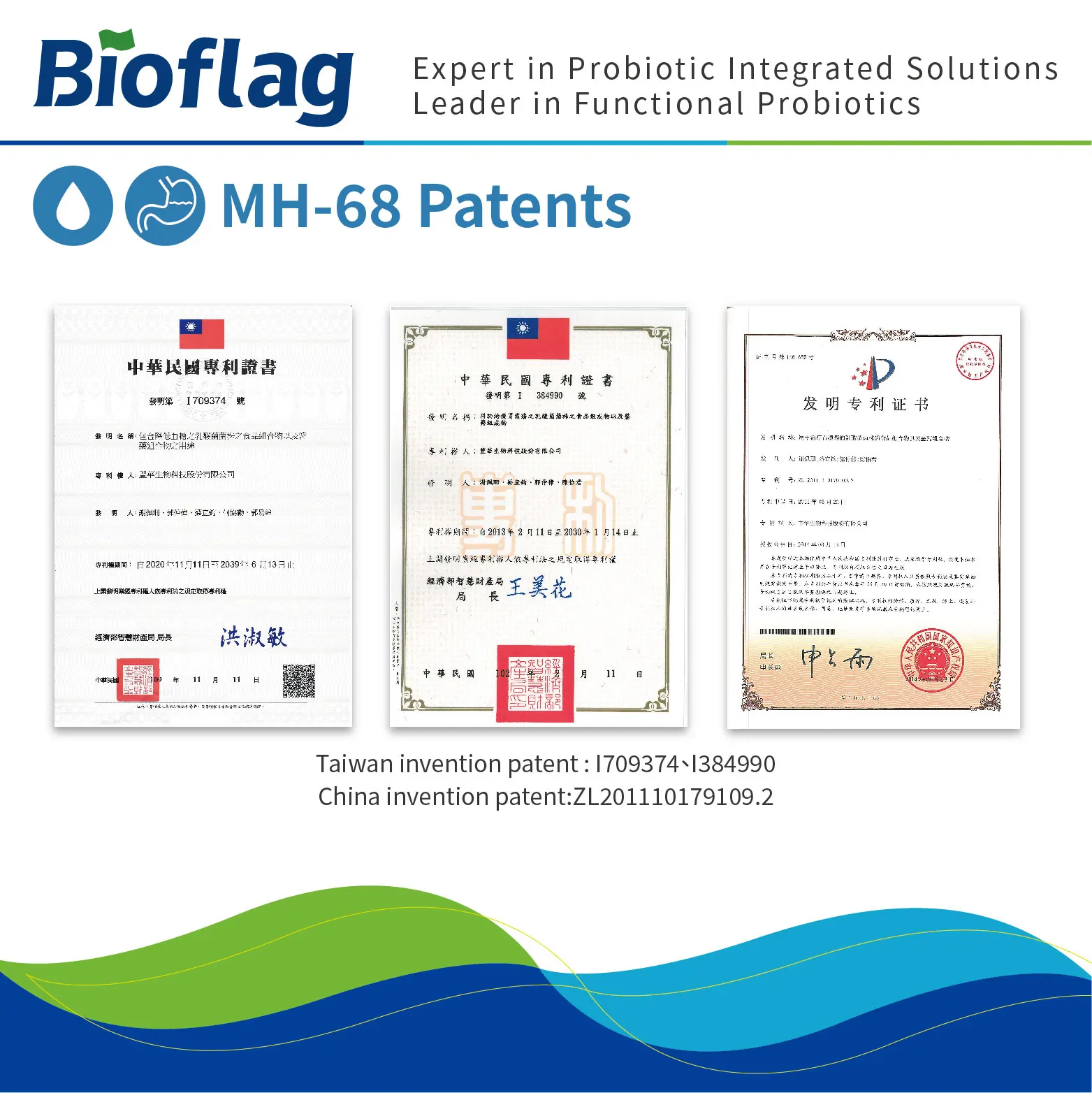 Helicobacter pylori infection prevention and stomach health probiotic Lactobacillus johnsonii MH-68