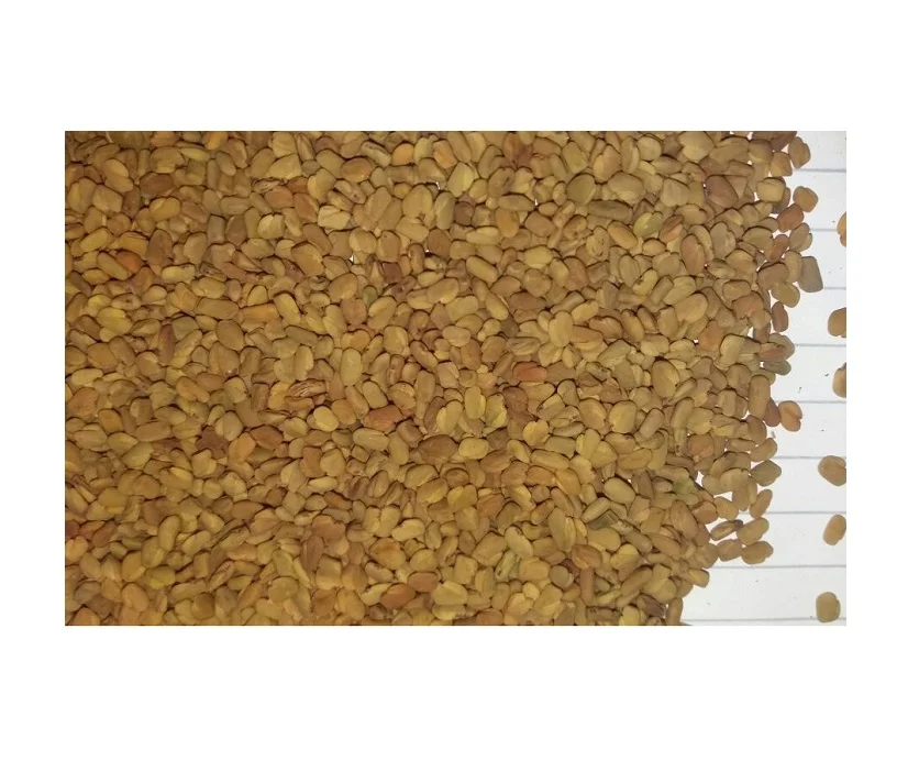 Egyptian Fenugreek Seeds