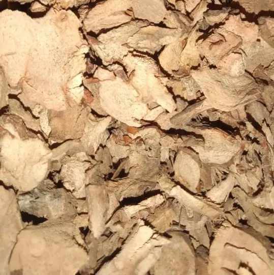 Dried Slice Galangal Roots High Quality Indonesia
