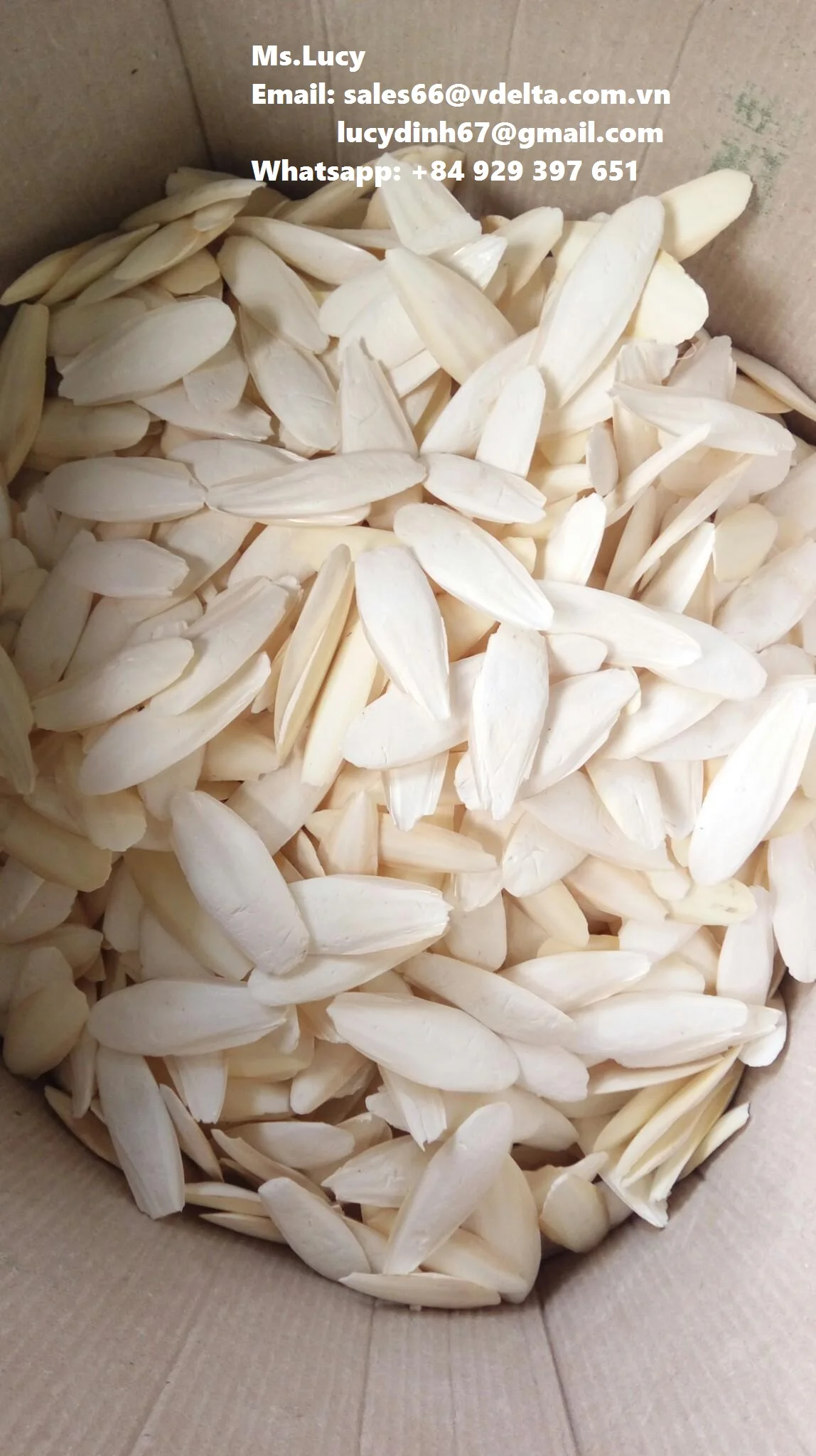 Sepia Powder/ Premium Cuttlefish Bone Powder/ Natural Sepia Bone Powder Ms.Lucy +84 929 397 651