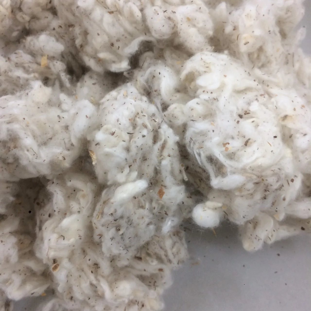  100% отходов хлопка спиннинга карточек мушки Comber Noil цена производителя-Whatsapp: + 84379007507