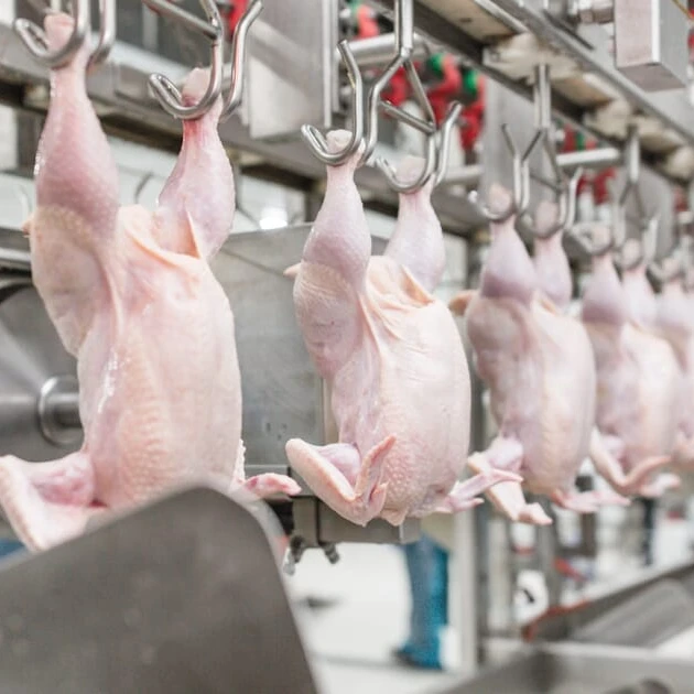 Оптовая цена/бесплатная доставка. Замороженная курица свежая цельная/ножки/барабанная палочка/голова/крылья/курица для шеи