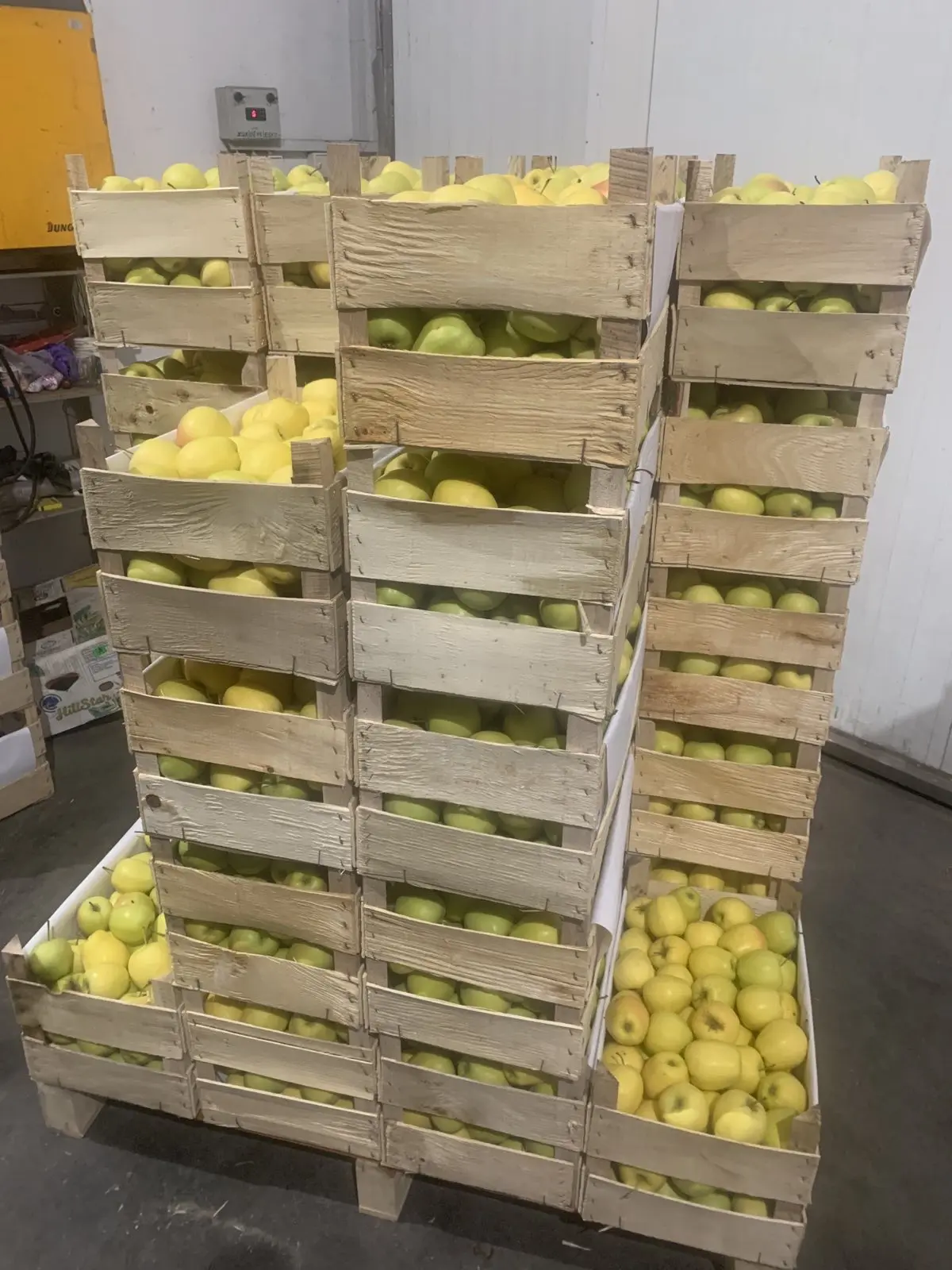 Ukrainian Golden Delicious fresh fruit royal gala apple