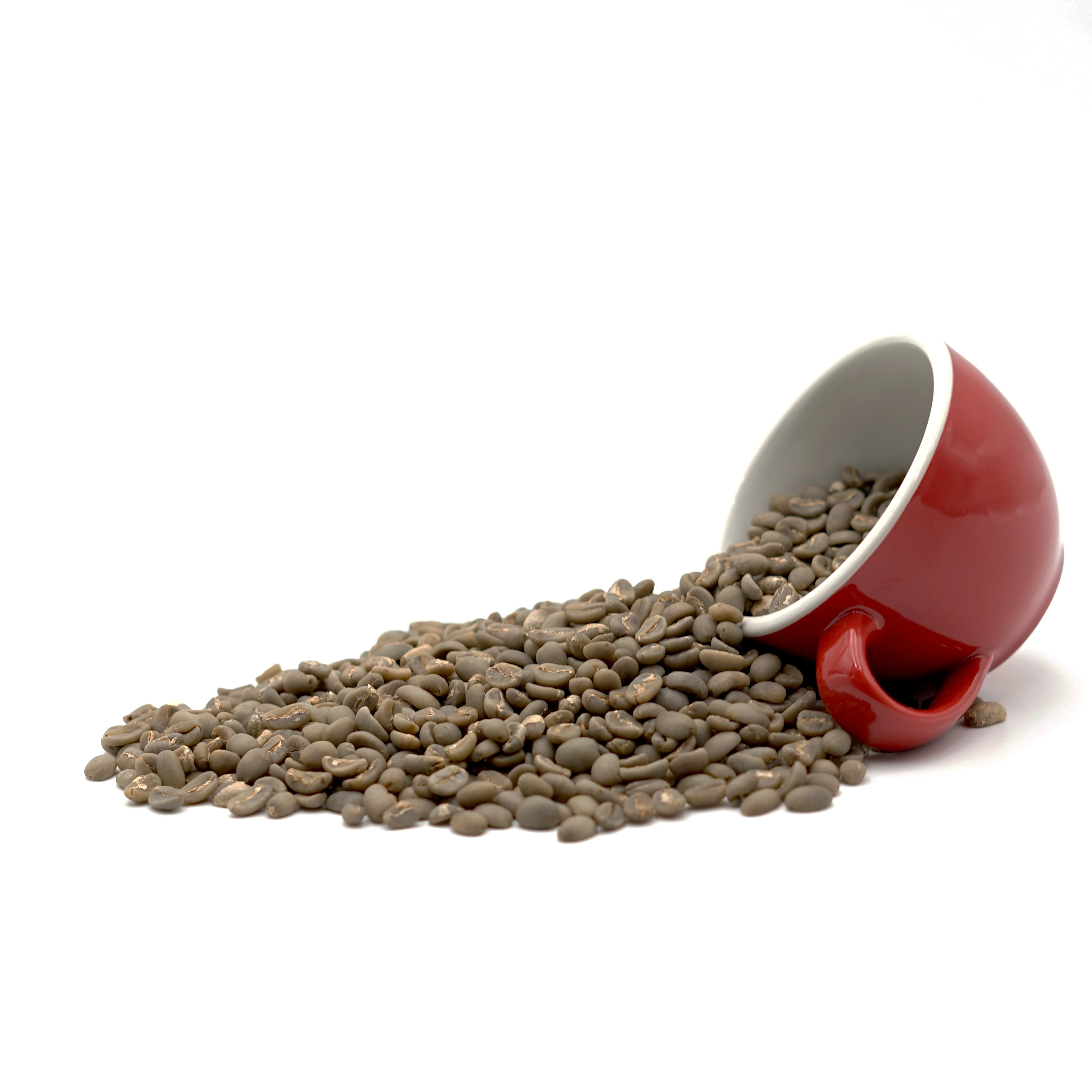 Best Quality Toraja Arabica Coffee Beans Indonesia